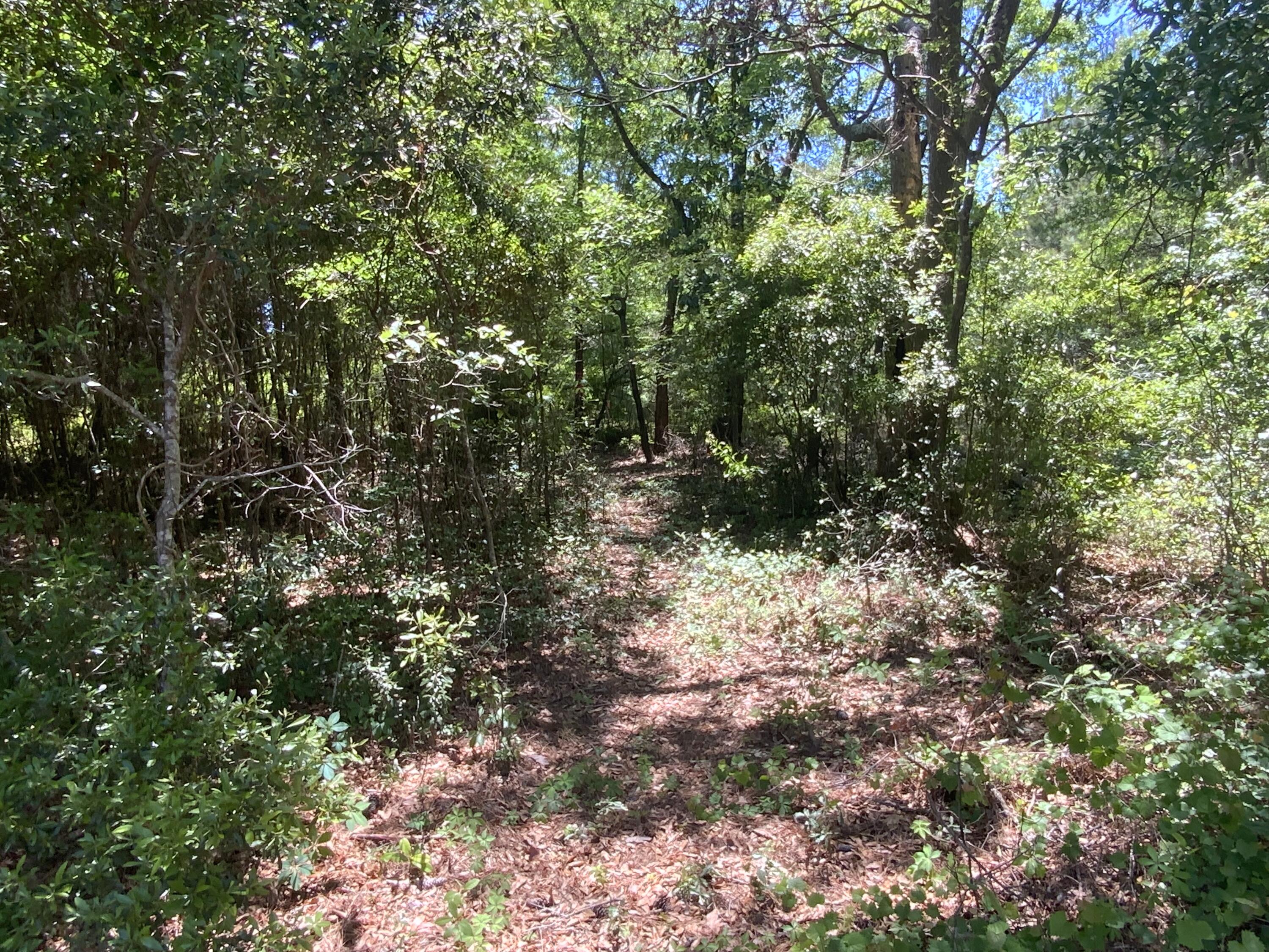 689 Seaside Road St. Helena Island, SC 29920 - Photo 9 of 11 IMG_2731