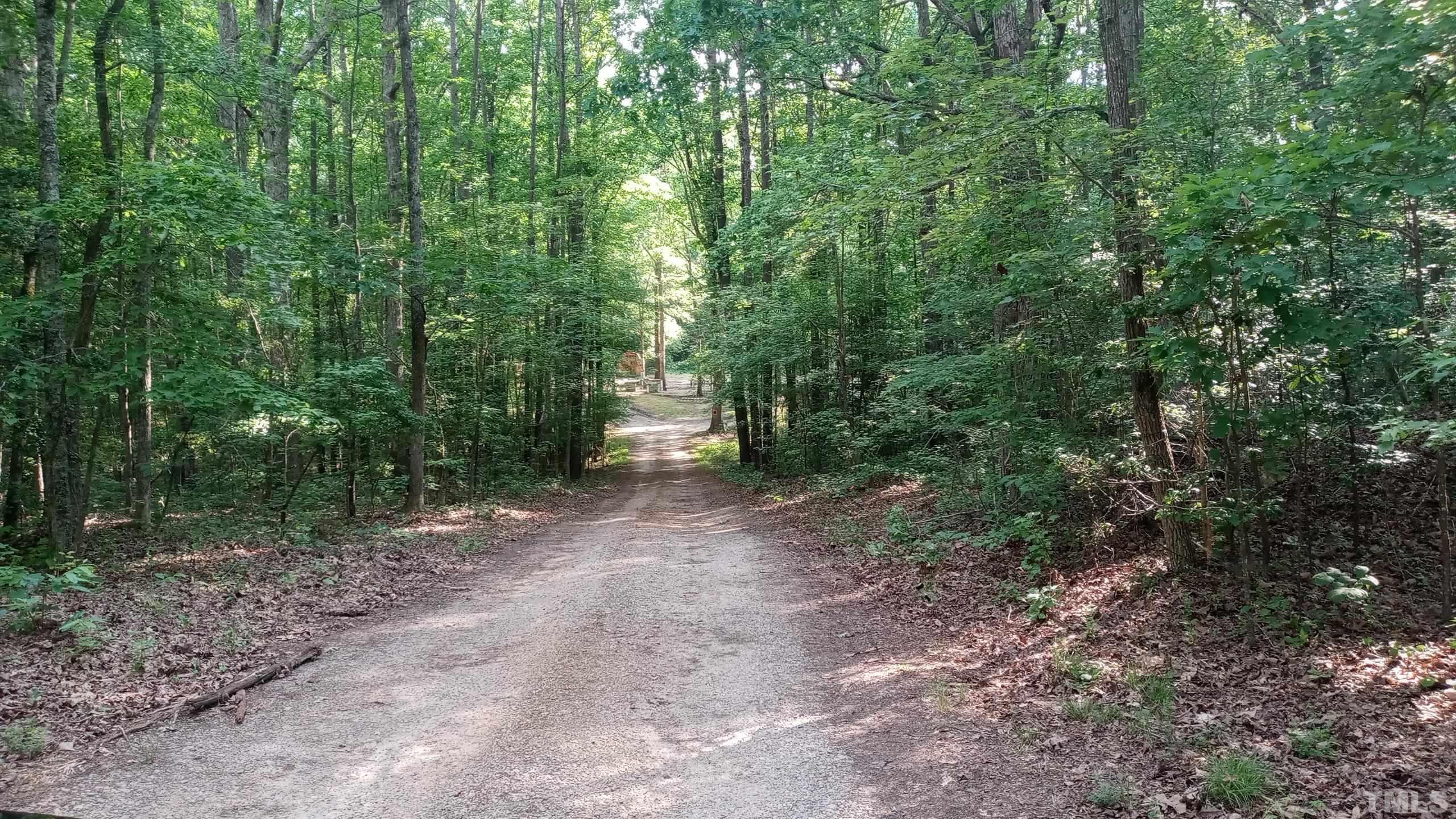 181 Simon Collie Road Louisburg, NC 27549 - Photo 2 of 26 a view of a forest with trees in the background