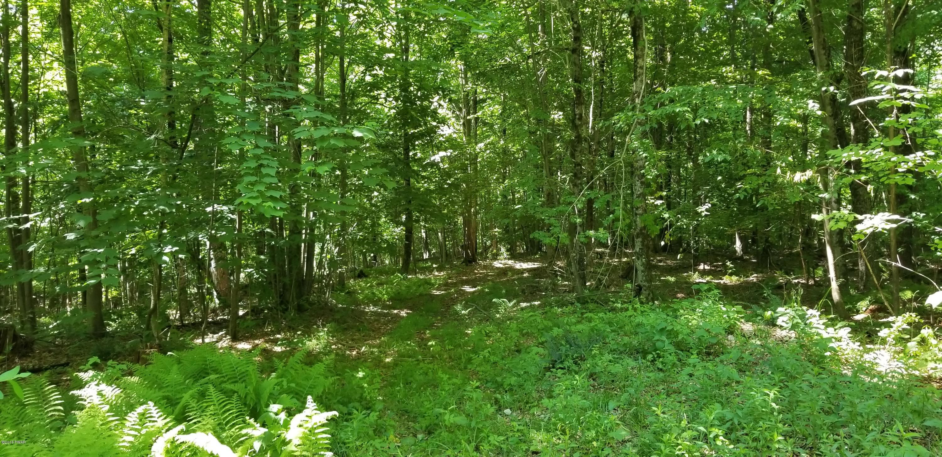 Lot 63 Old Woods Road Equinunk, PA 18417 - Photo 38 of 63