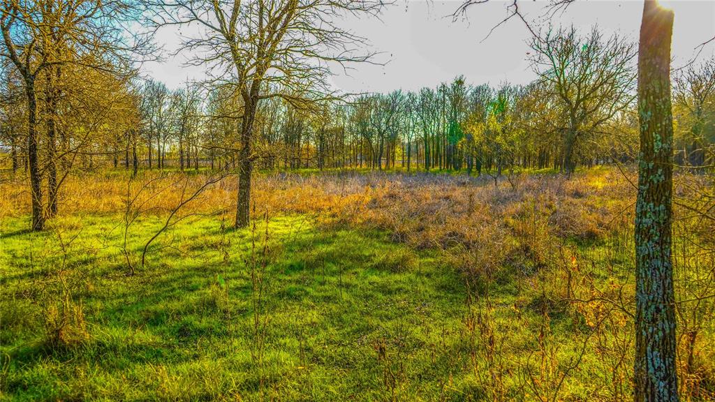 4480 Cen-Tex Loop Temple, TX 76501 - Photo 24 of 38