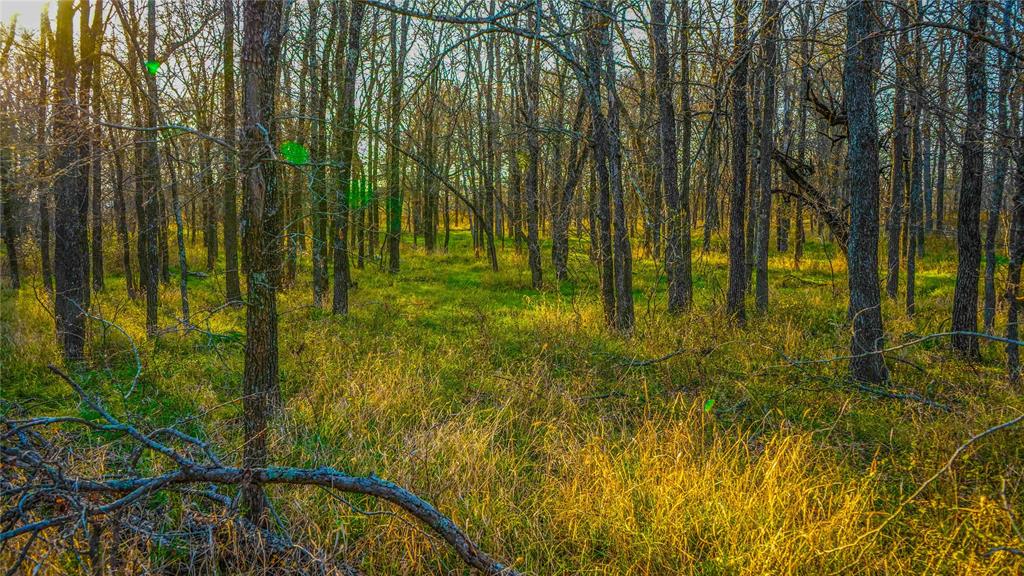 4480 Cen-Tex Loop Temple, TX 76501 - Photo 29 of 38