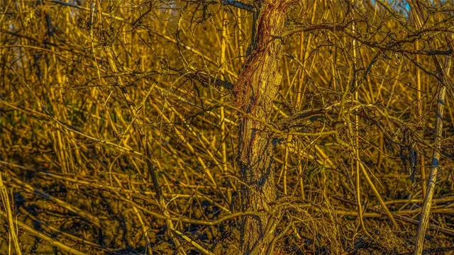 $550,000 | 4480 Cen-Tex Loop, Temple, TX 76501