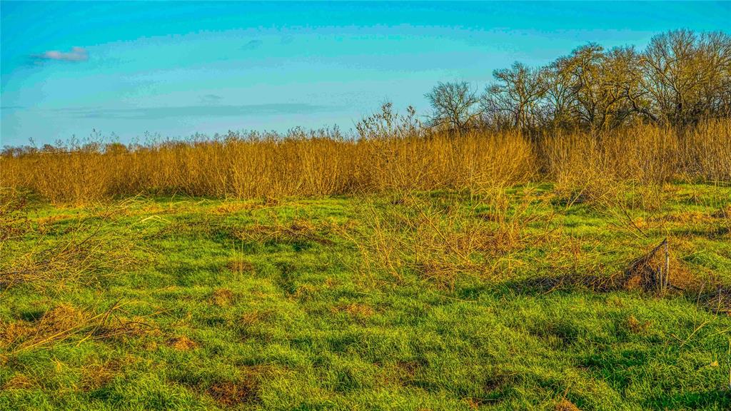 4480 Cen-Tex Loop Temple, TX 76501 - Photo 32 of 38