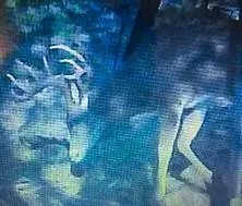 $550,000 | 4480 Cen-Tex Loop, Temple, TX 76501