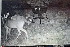 $550,000 | 4480 Cen-Tex Loop, Temple, TX 76501