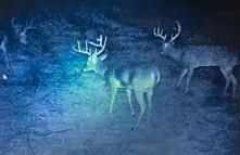 4480 Cen-Tex Loop Temple, TX 76501 - Photo 37 of 38