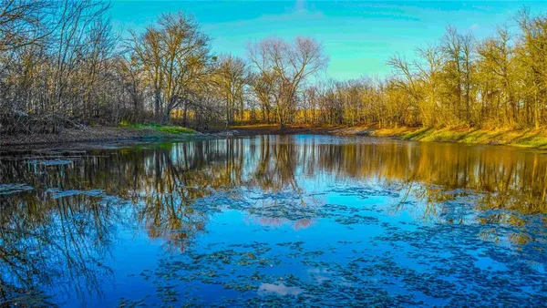 a view of a lake in between two large trees
