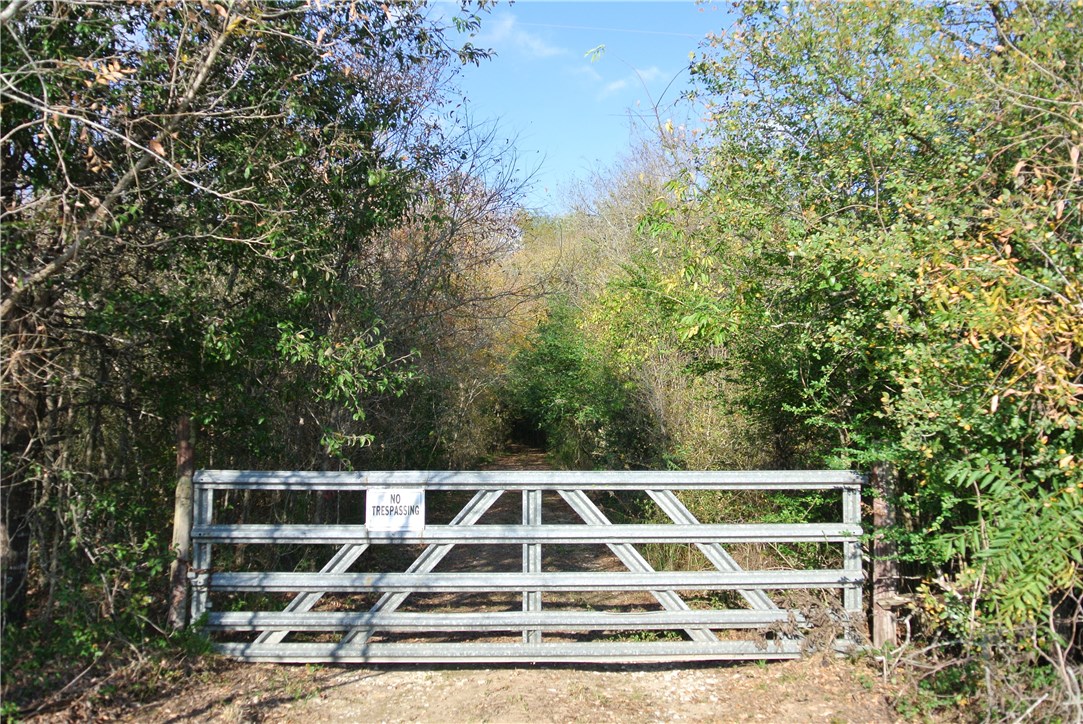 186 Pleasant Grove Loop Elgin, TX 78621 - Photo 1 of 1 Gallery Image 1