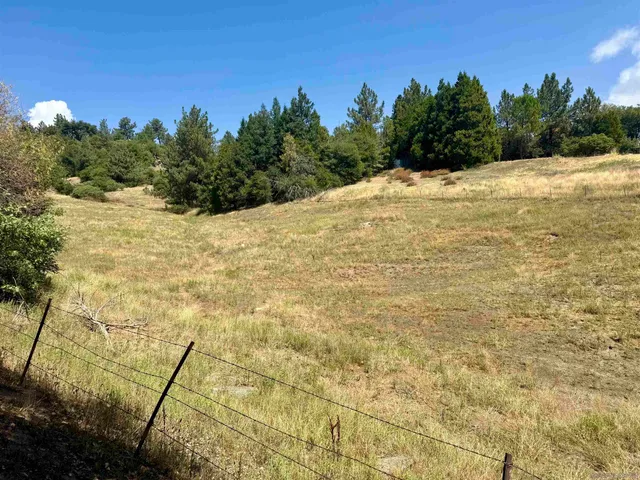 a view of yard from window