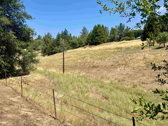 a view of a sign in a yard