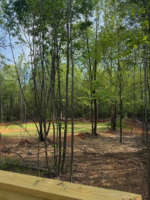 236 Dewaters Road Commerce, GA 30529 - Photo 14 of 18