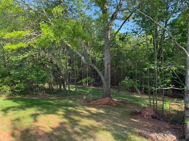 236 Dewaters Road Commerce, GA 30529 - Photo 15 of 18