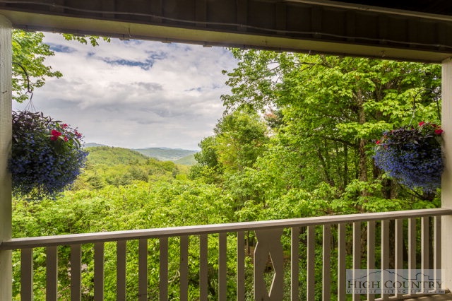 1115 Deck Hill Road Boone, NC 28607 - Photo 12 of 35 a view of a garden from a window