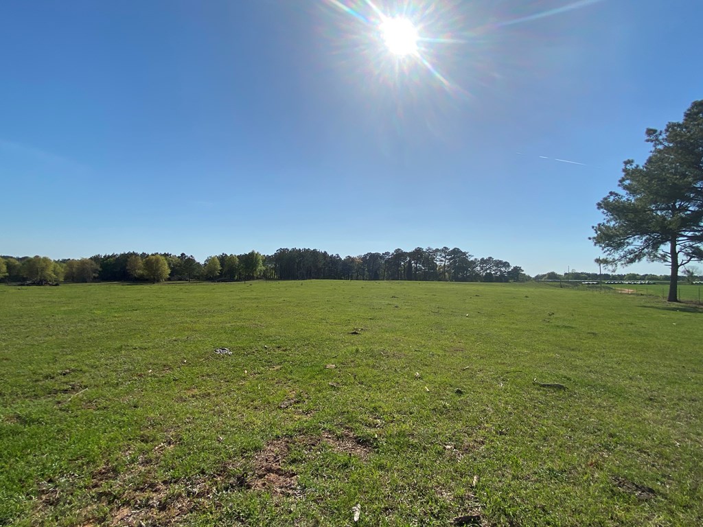0 Co Road Abbeville, AL 36310 - Photo 9 of 53