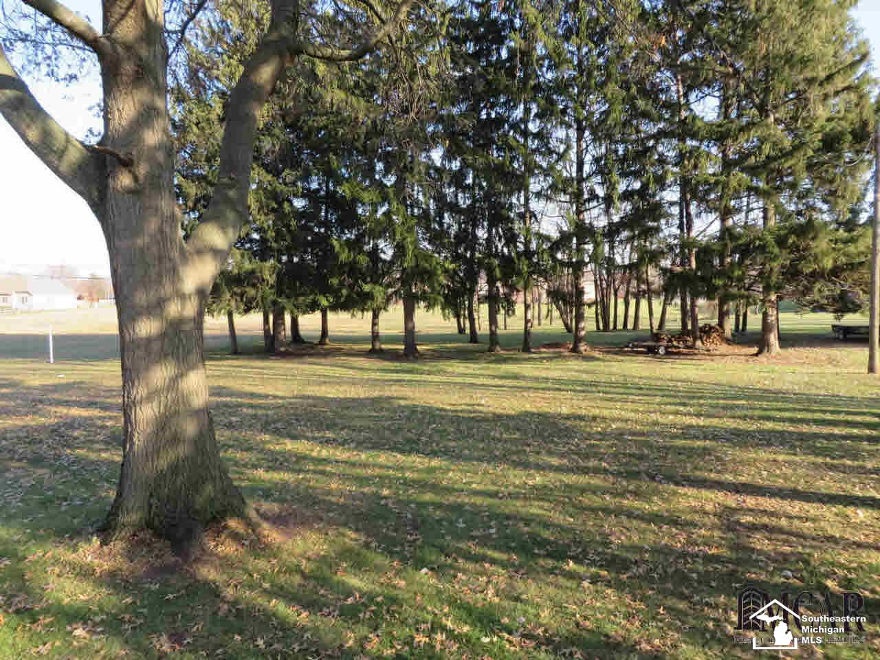 280 Ruff Drive Monroe, MI 48162 - Photo 19 of 21