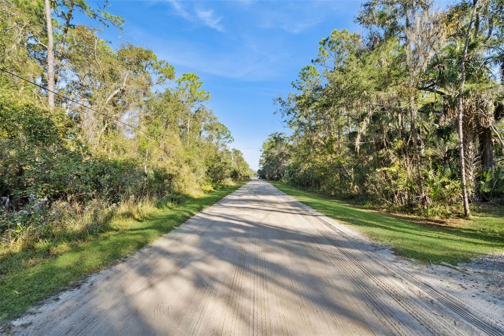 Brigham Loop Geneva, FL 32732 - Photo 8 of 48 Gallery Image 8