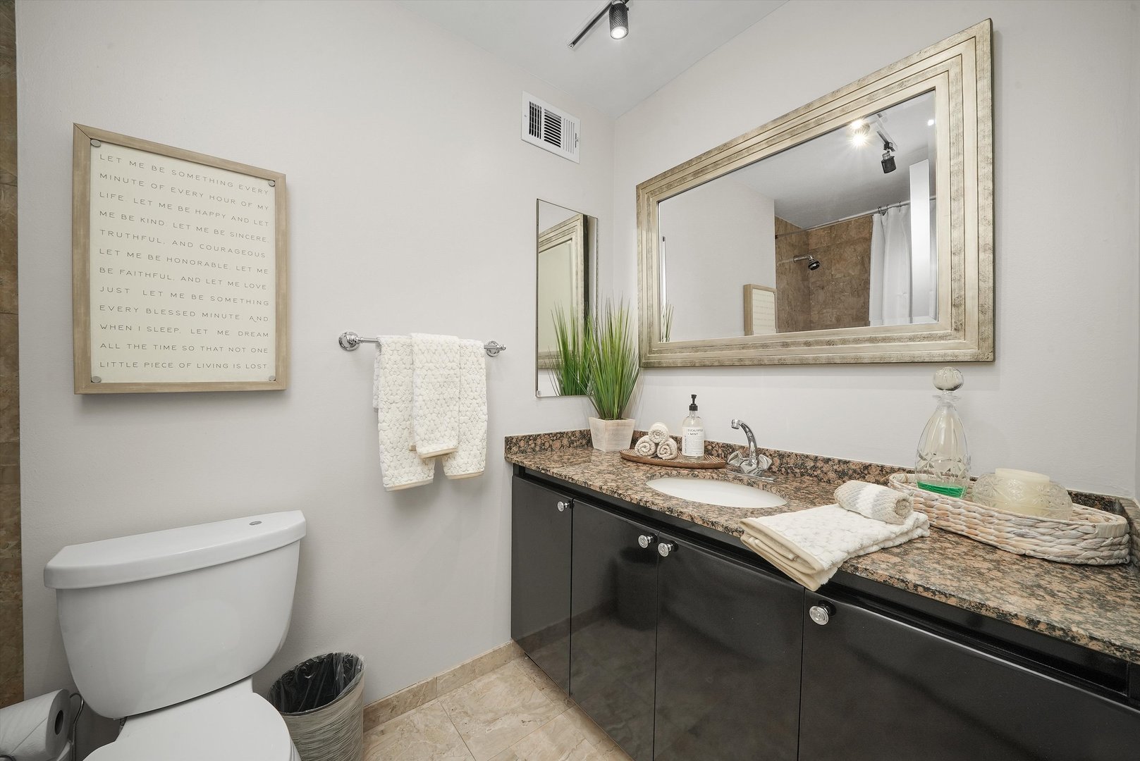 200 East Delaware Place, Unit 15F Chicago, IL 60611 - Photo 10 of 27 a bathroom with a granite countertop toilet sink and mirror
