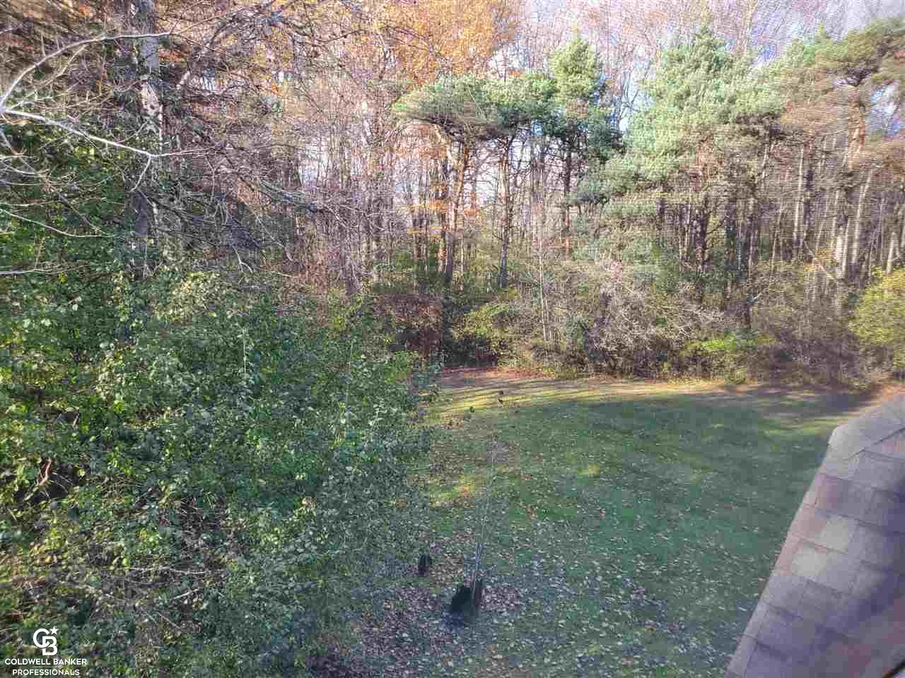 7700 Jorden Road Yale, MI 48097 - Photo 43 of 50 Outdoor View 1