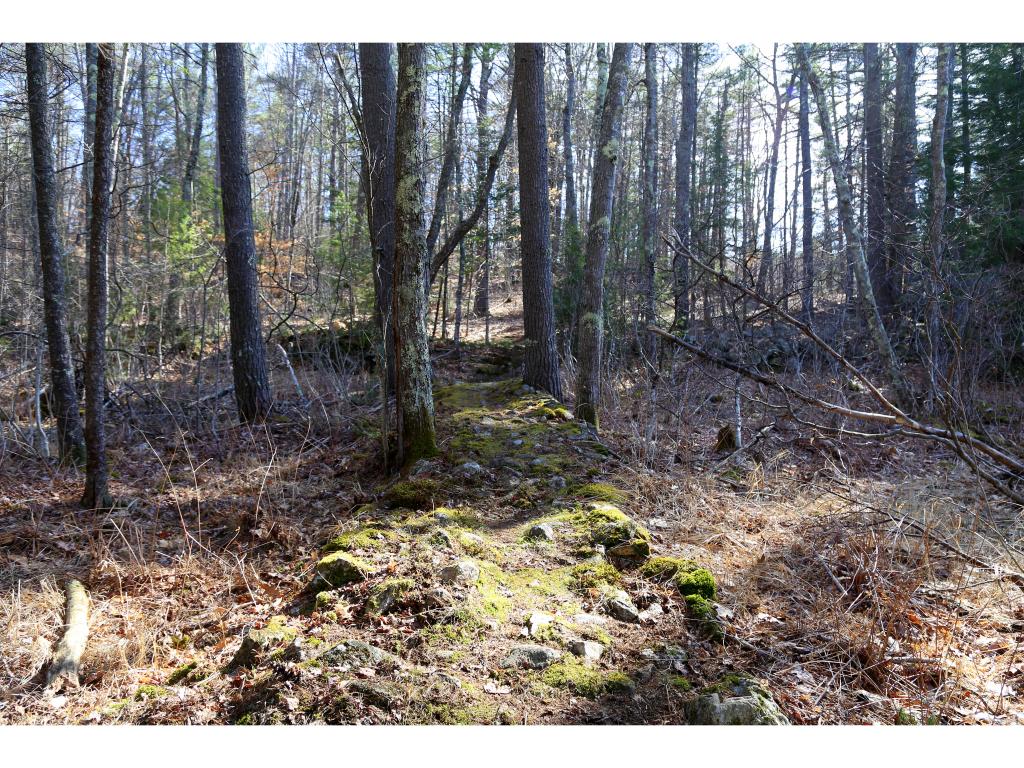 166 Hollywood Beach Road Alton, NH 03809 - Photo 22 of 22