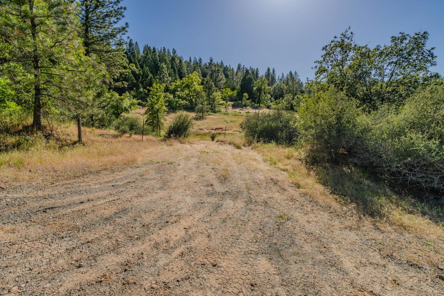 0 Schaefer Ranch Road Pioneer, CA 95666 - Photo 54 of 72