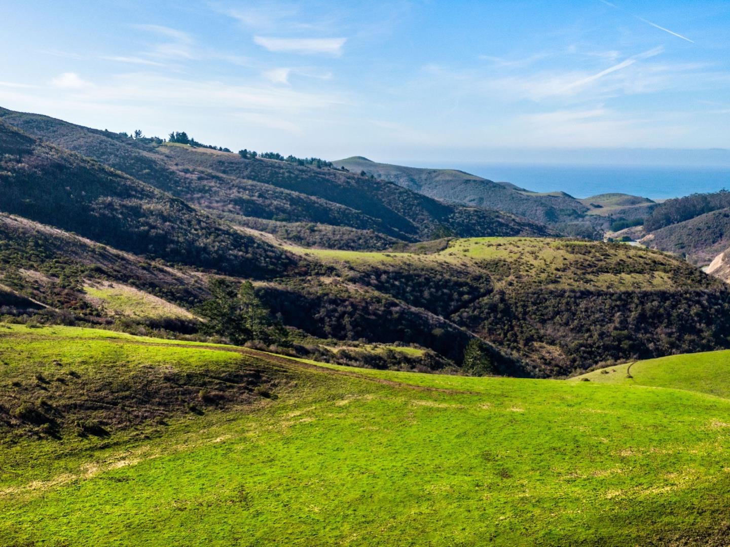 3225 Pomponio Creek Road San Gregorio, CA 94074 - Photo 14 of 24 a view of a backyard with wooden fence