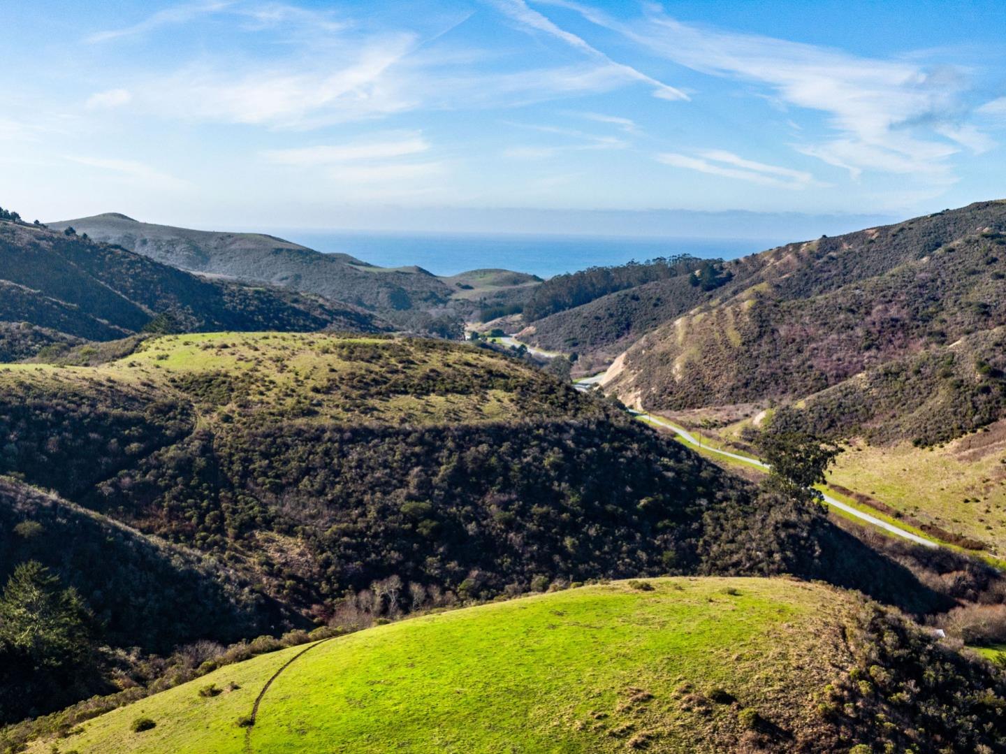 3225 Pomponio Creek Road San Gregorio, CA 94074 - Photo 17 of 24 a view of a yard
