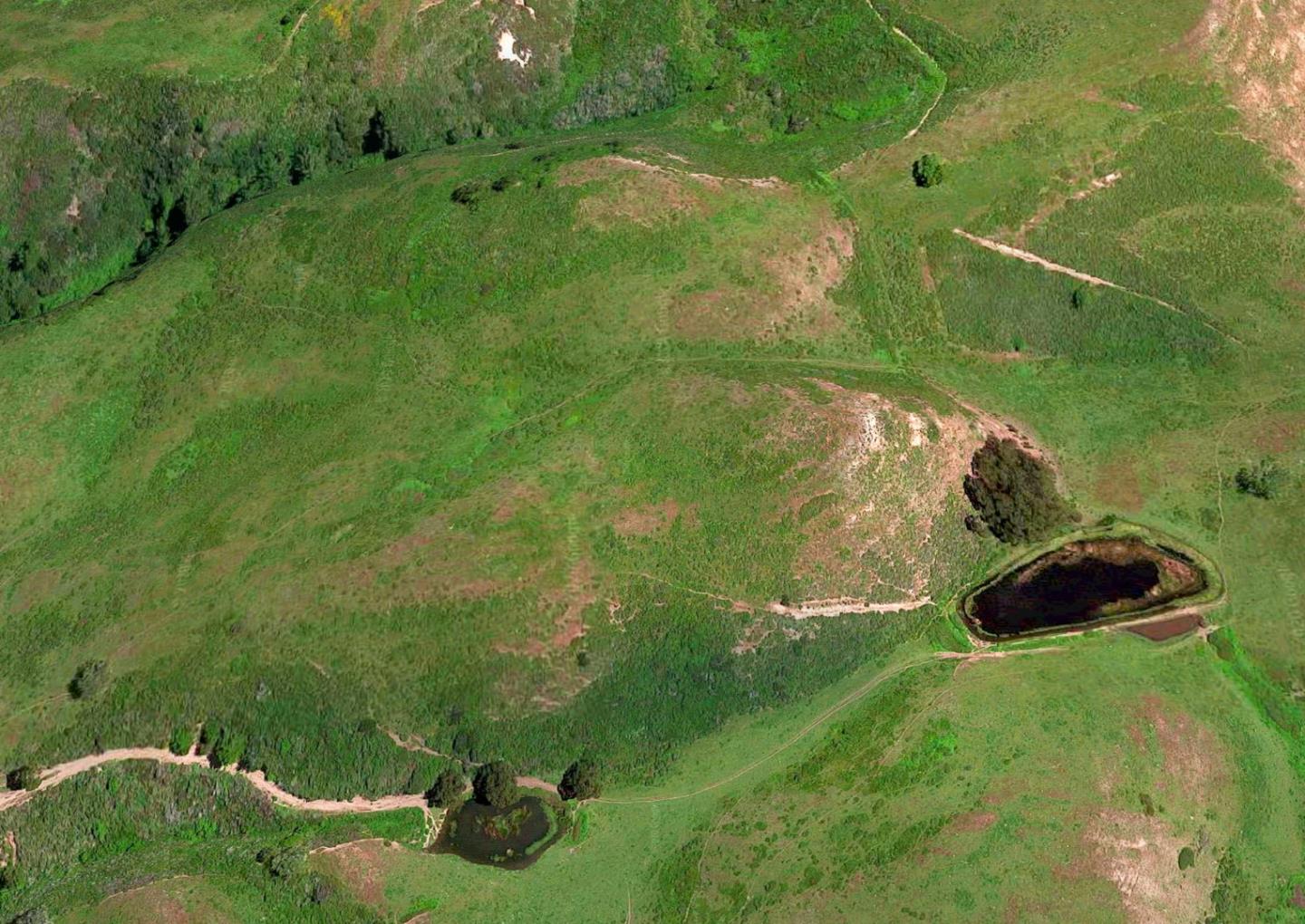 3225 Pomponio Creek Road San Gregorio, CA 94074 - Photo 19 of 24 a view of a green yard