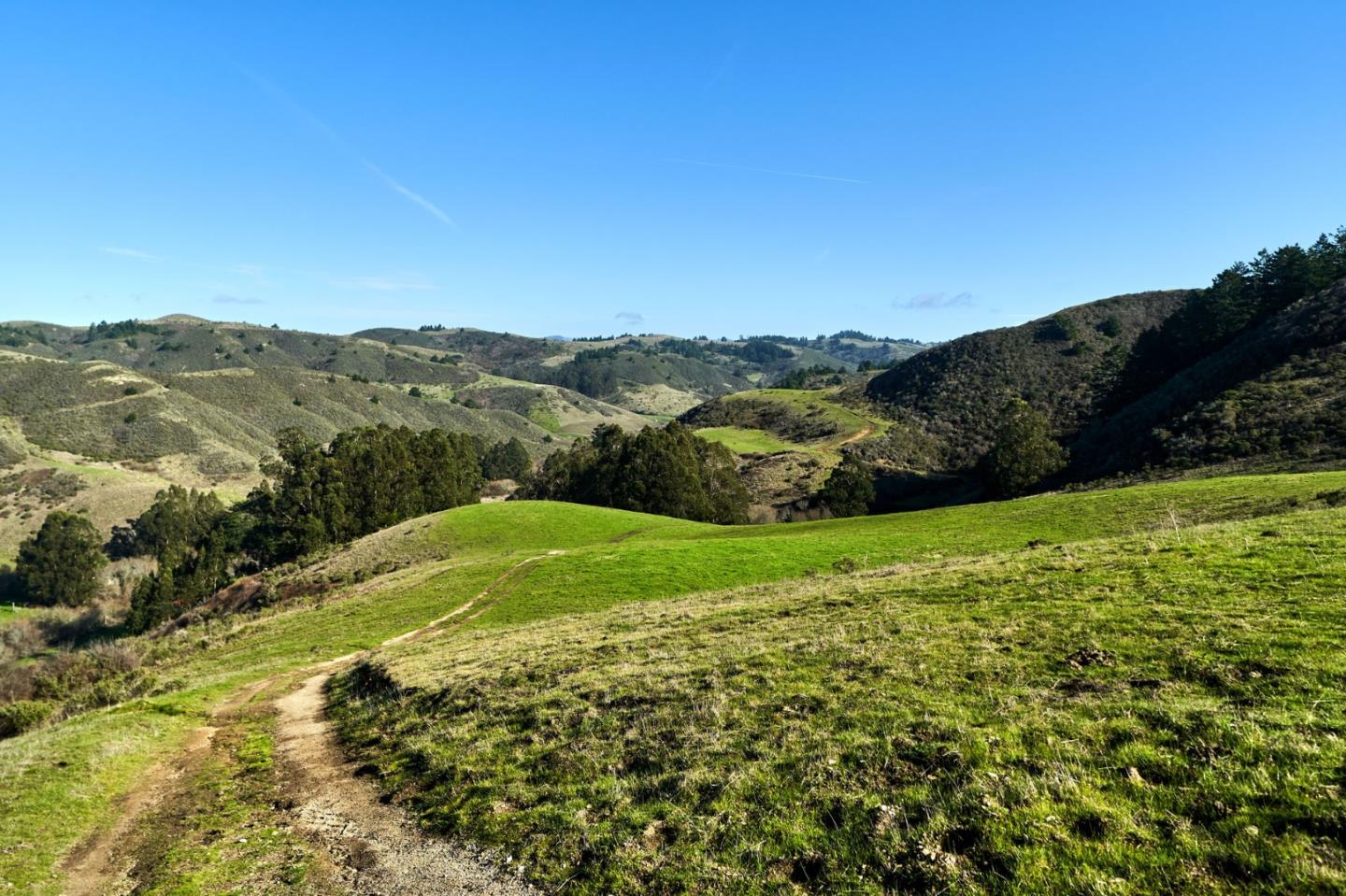 3225 Pomponio Creek Road San Gregorio, CA 94074 - Photo 21 of 24 a view of grassy field with mountains in the background
