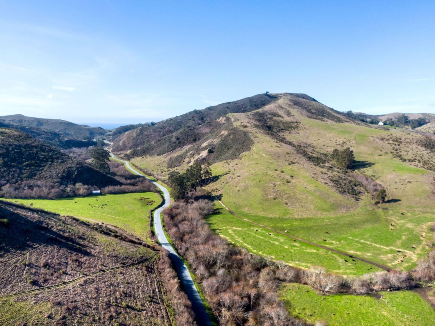 3225 Pomponio Creek Road San Gregorio, CA 94074 - Photo 4 of 24 a view of a backyard with wooden fence