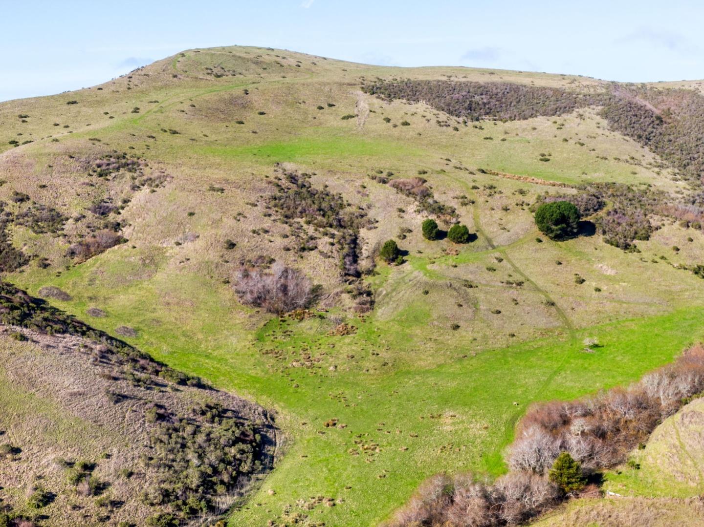 3225 Pomponio Creek Road San Gregorio, CA 94074 - Photo 7 of 24 a view of ocean view