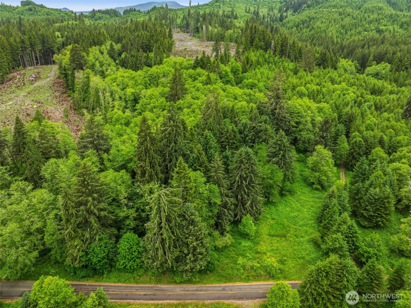 0 East Valley Road Skamokawa, WA 98647 - Photo 10 of 15