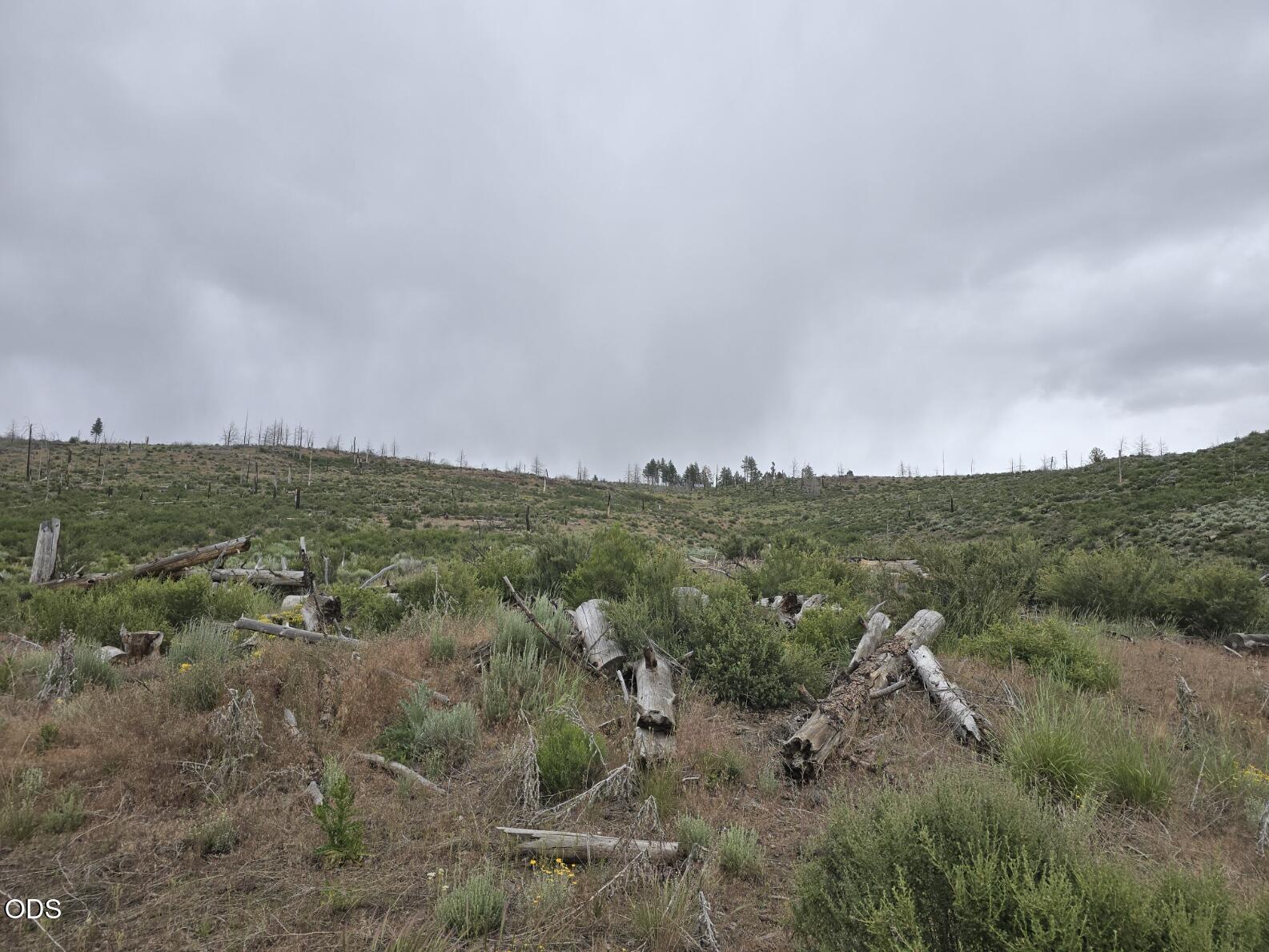 Ram Road, Unit 30 Chiloquin, OR 97624 - Photo 2 of 7