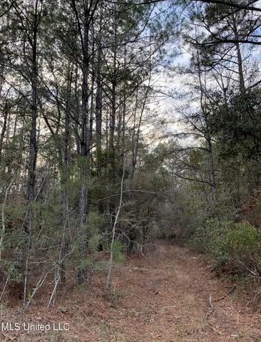 $405,000 | 43 South S Highway, Picayune, MS 39466