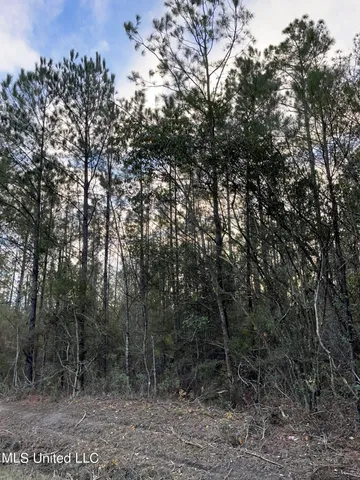 $405,000 | 43 South S Highway, Picayune, MS 39466