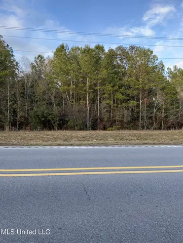 $405,000 | 43 South S Highway, Picayune, MS 39466