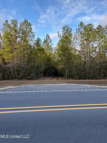 $405,000 | 43 South S Highway, Picayune, MS 39466