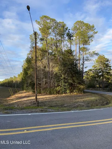 $405,000 | 43 South S Highway, Picayune, MS 39466