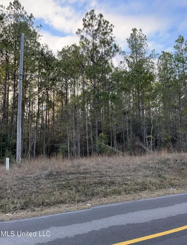 $405,000 | 43 South S Highway, Picayune, MS 39466