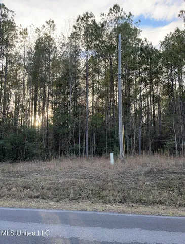 $405,000 | 43 South S Highway, Picayune, MS 39466