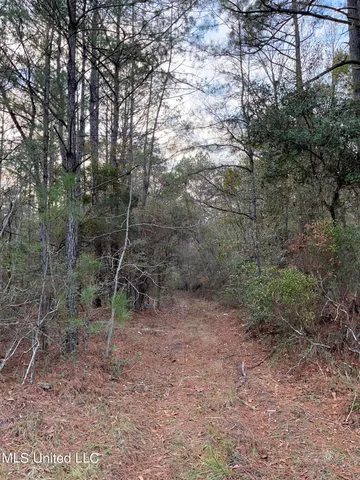 $405,000 | 43 South S Highway, Picayune, MS 39466