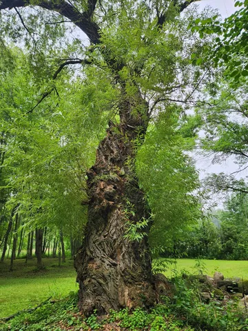 $175,000 | Null 1st Avenue Northwest, Pine City, MN 55063