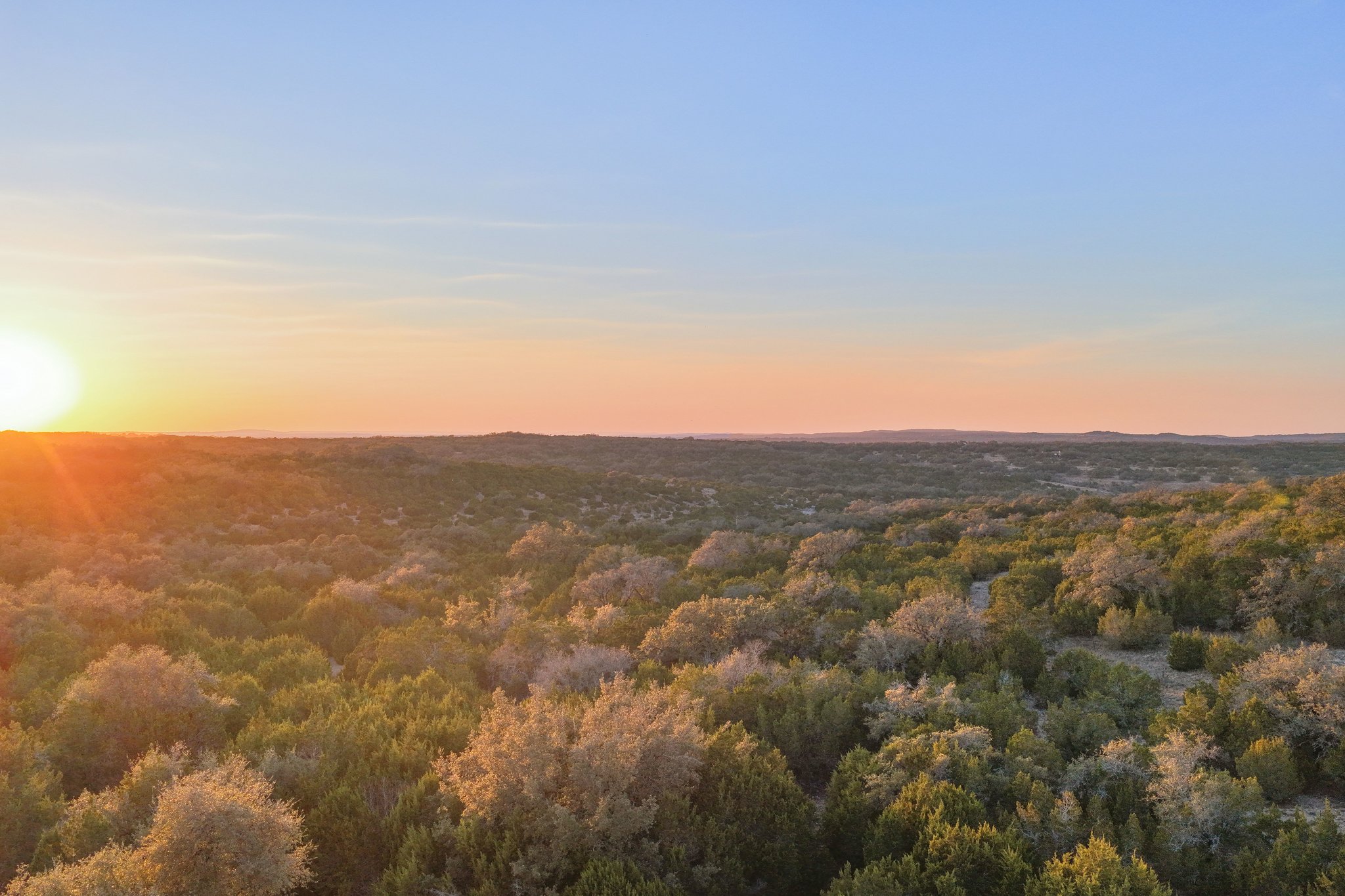 22112 Rock Wren Road Spicewood, TX 78669 - Photo 39 of 40 View of tree filled area