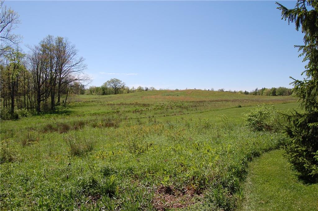 127 Cranberry Road Grove City, PA 16127 - Photo 6 of 17 Backyard View