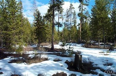 52261 Stearns Road La Pine, OR 97739 - Photo 4 of 5 Additional Photo