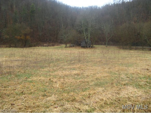 9226 Us Rt 23 Center Point, WV 26339 - Photo 3 of 5 Field