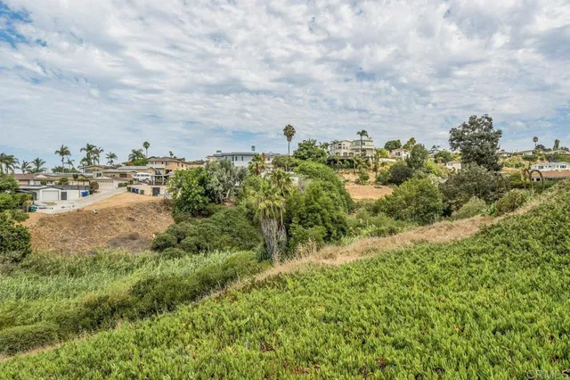 a view of a big yard with lots of green space