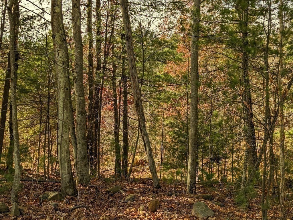 525 Old County Road Holland, MA 01521 - Photo 8 of 12