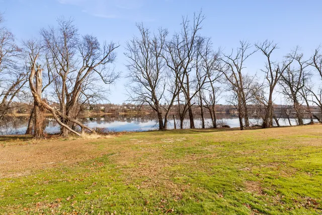 a view of yard with trees in the background