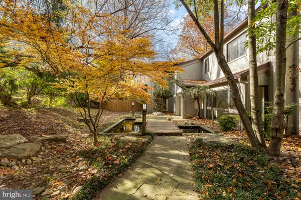 a view of yard with trees