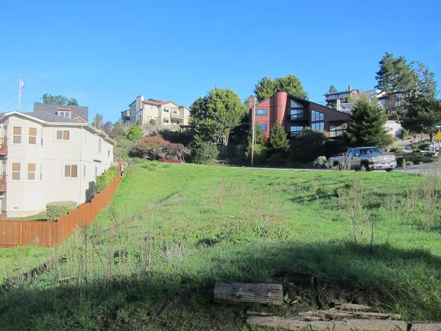 a view of a house with a yard and potted plants